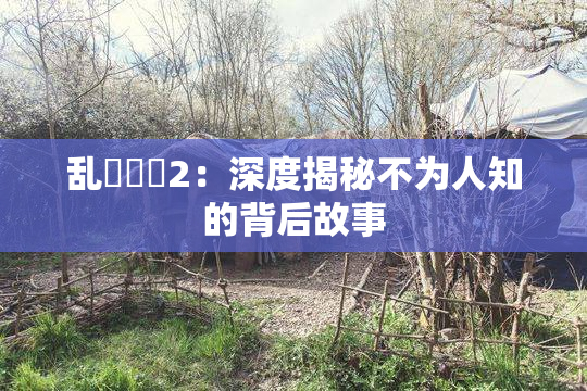 乱婬妺妺2：深度揭秘不为人知的背后故事