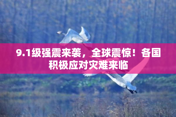 9.1级强震来袭，全球震惊！各国积极应对灾难来临