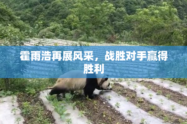 霍雨浩再展风采，战胜对手赢得胜利