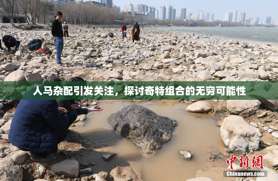 人马杂配引发关注，探讨奇特组合的无穷可能性