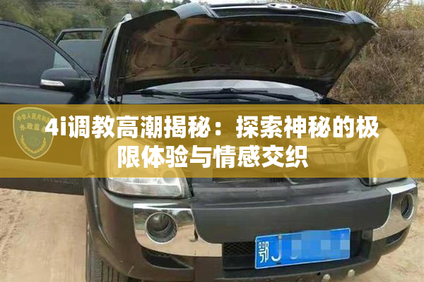 4i调教高潮揭秘：探索神秘的极限体验与情感交织
