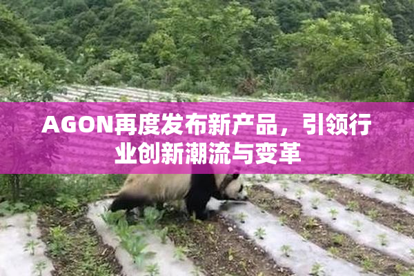 AGON再度发布新产品，引领行业创新潮流与变革