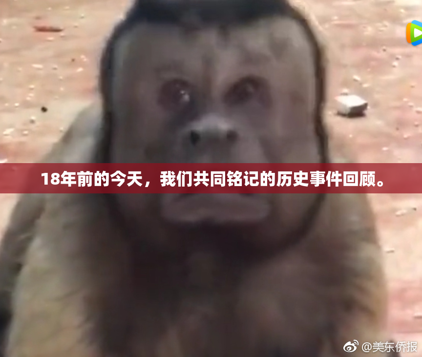18年前的今天，我们共同铭记的历史事件回顾。