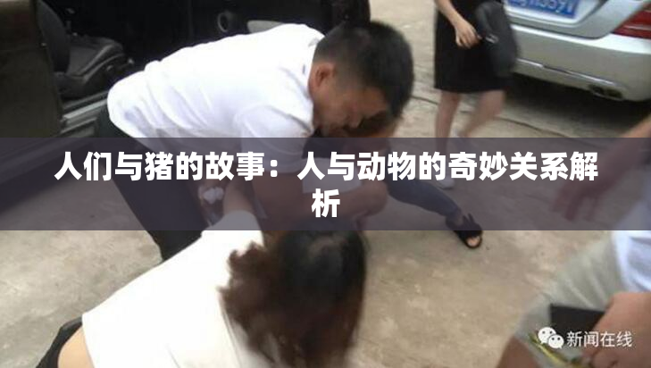 人们与猪的故事：人与动物的奇妙关系解析