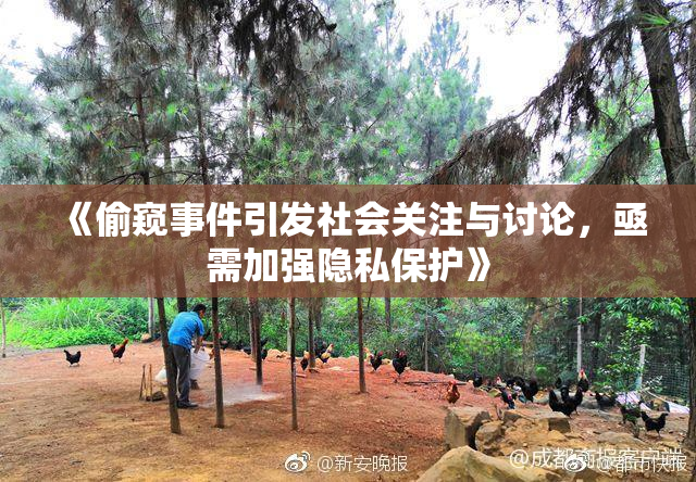 《偷窥事件引发社会关注与讨论，亟需加强隐私保护》