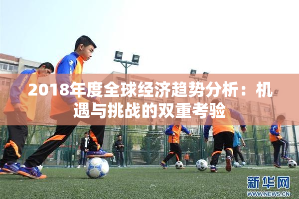 2018年度全球经济趋势分析：机遇与挑战的双重考验
