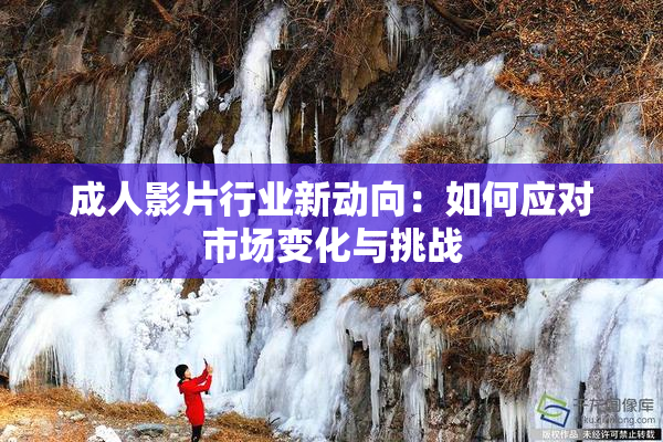 成人影片行业新动向：如何应对市场变化与挑战