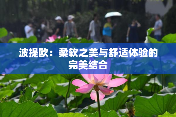 波提欧：柔软之美与舒适体验的完美结合