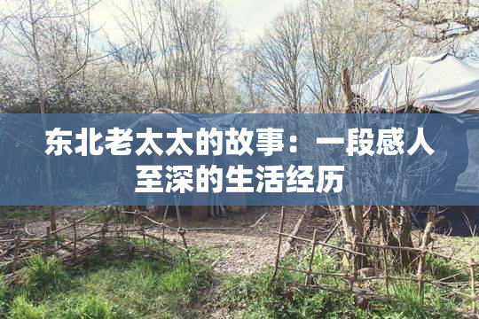 东北老太太的故事：一段感人至深的生活经历