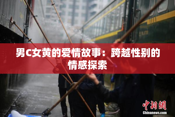 男C女黄的爱情故事：跨越性别的情感探索