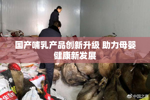国产哺乳产品创新升级 助力母婴健康新发展