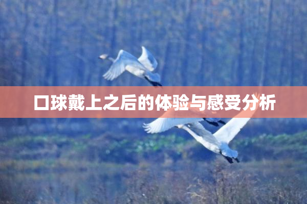 口球戴上之后的体验与感受分析
