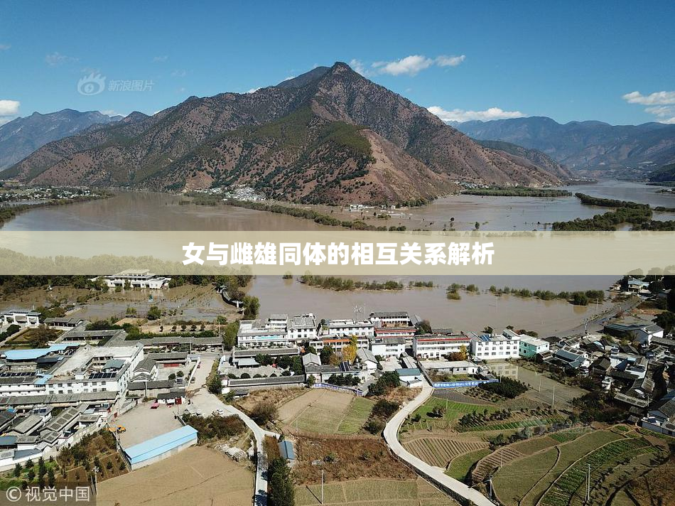 女与雌雄同体的相互关系解析