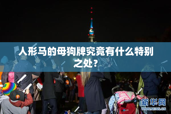 人形马的母狗牌究竟有什么特别之处？