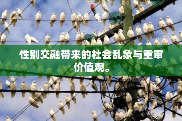 性别交融带来的社会乱象与重审价值观。