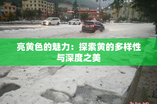亮黄色的魅力：探索黄的多样性与深度之美