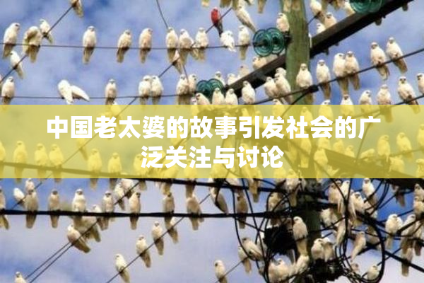 中国老太婆的故事引发社会的广泛关注与讨论