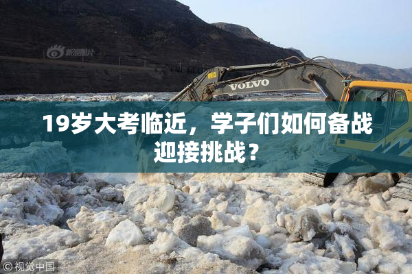 19岁大考临近，学子们如何备战迎接挑战？