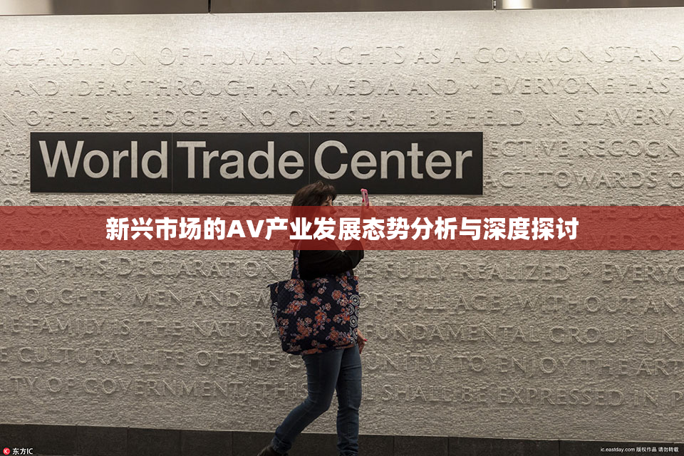 新兴市场的AV产业发展态势分析与深度探讨
