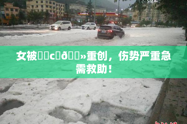 女被❌‌c‌🐻重创，伤势严重急需救助！