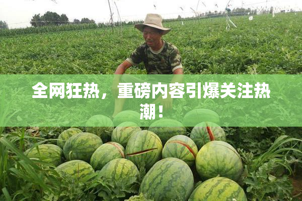 全网狂热，重磅内容引爆关注热潮！