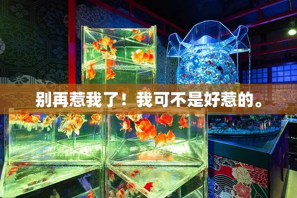 别再惹我了！我可不是好惹的。