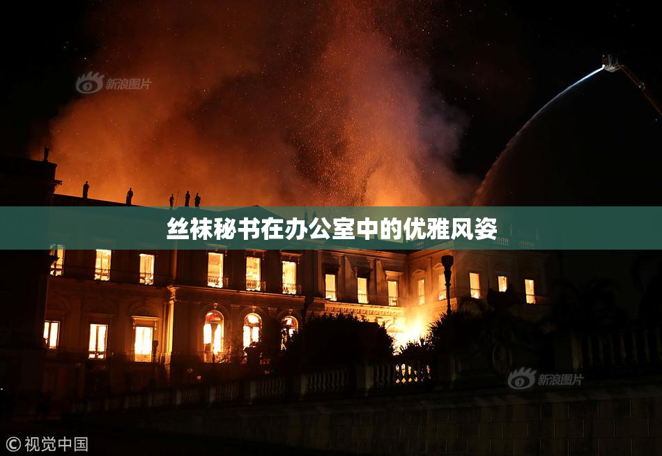 丝袜秘书在办公室中的优雅风姿