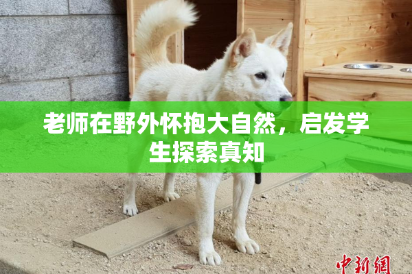 老师在野外怀抱大自然，启发学生探索真知