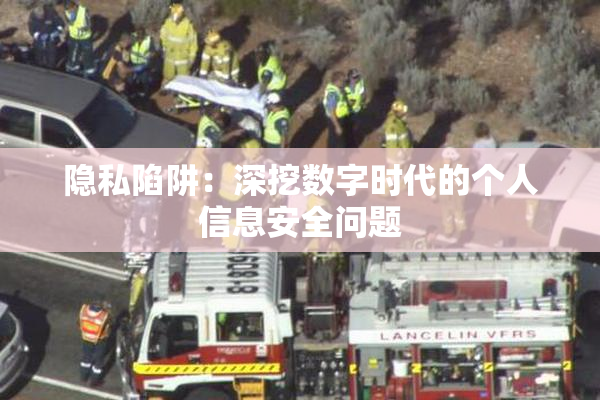 隐私陷阱：深挖数字时代的个人信息安全问题