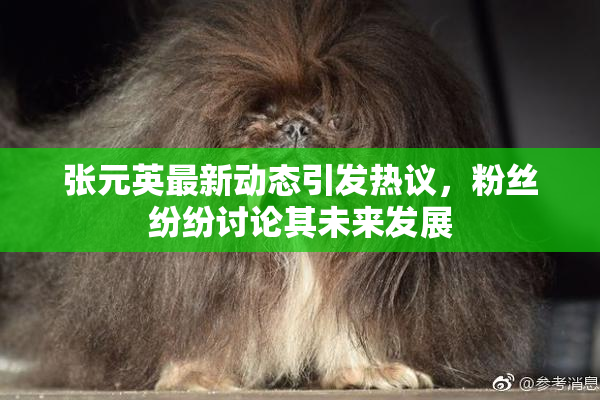 张元英最新动态引发热议，粉丝纷纷讨论其未来发展