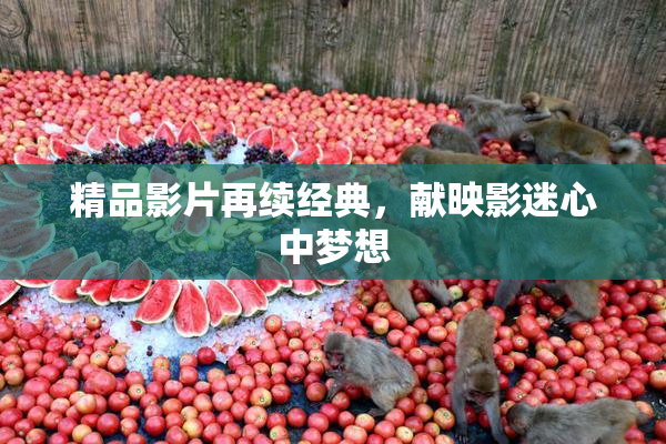 精品影片再续经典，献映影迷心中梦想