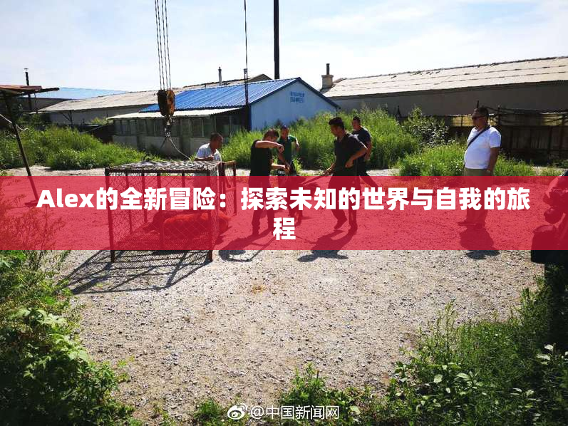 Alex的全新冒险：探索未知的世界与自我的旅程