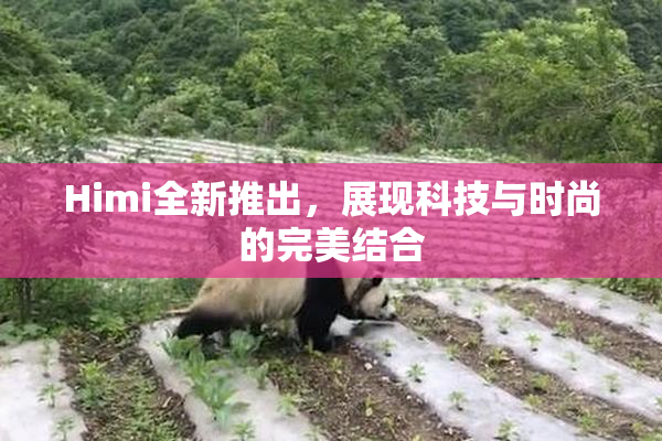 Himi全新推出，展现科技与时尚的完美结合