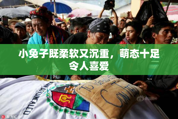 小兔子既柔软又沉重，萌态十足令人喜爱