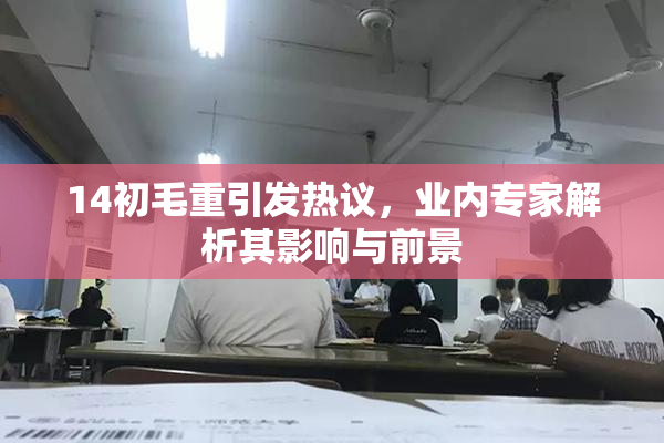 14初毛重引发热议，业内专家解析其影响与前景