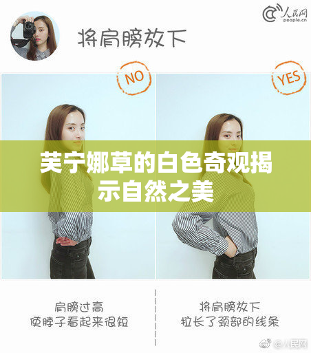 芙宁娜草的白色奇观揭示自然之美