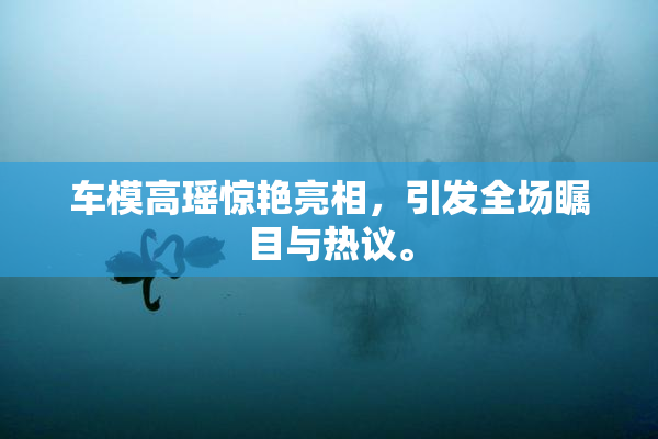 车模高瑶惊艳亮相，引发全场瞩目与热议。