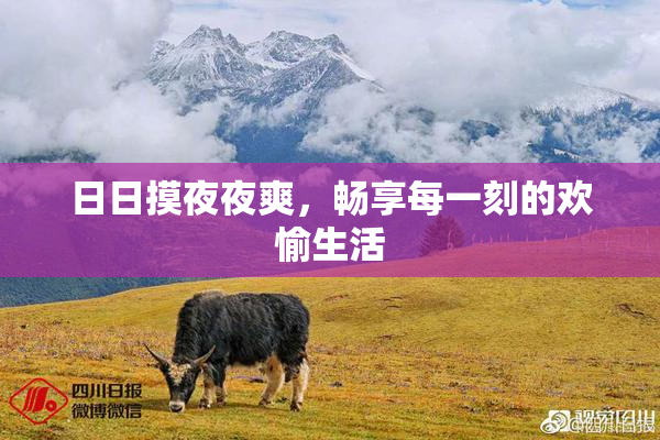 日日摸夜夜爽，畅享每一刻的欢愉生活
