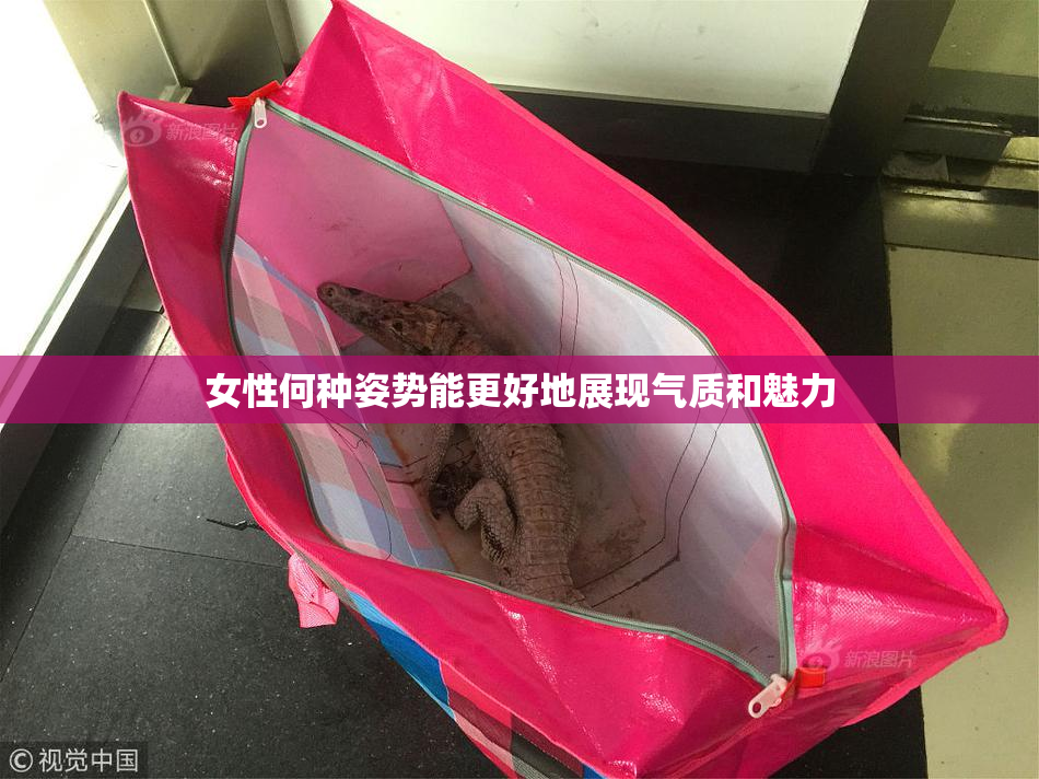 女性何种姿势能更好地展现气质和魅力