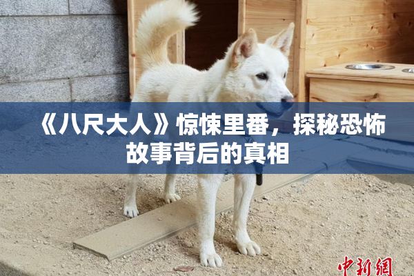 《八尺大人》惊悚里番，探秘恐怖故事背后的真相