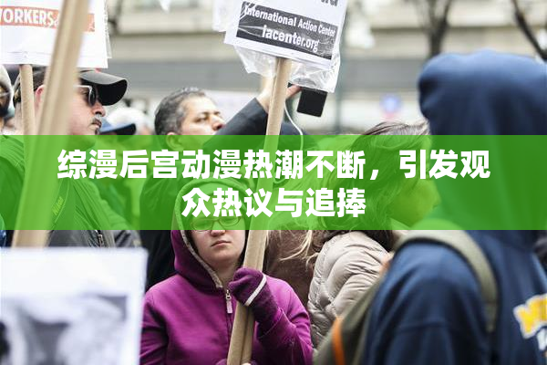 综漫后宫动漫热潮不断，引发观众热议与追捧