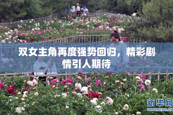 双女主角再度强势回归，精彩剧情引人期待