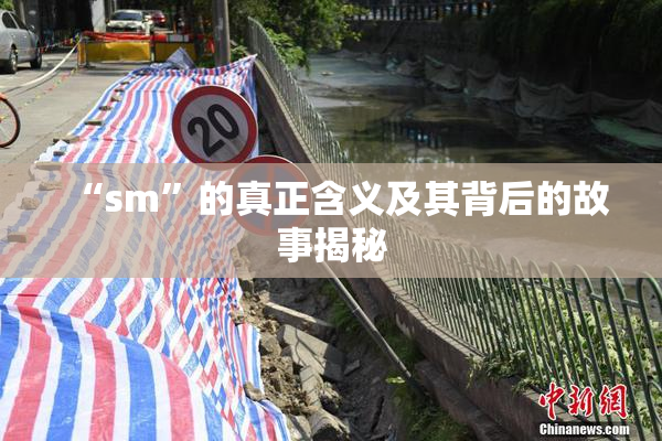 “sm”的真正含义及其背后的故事揭秘