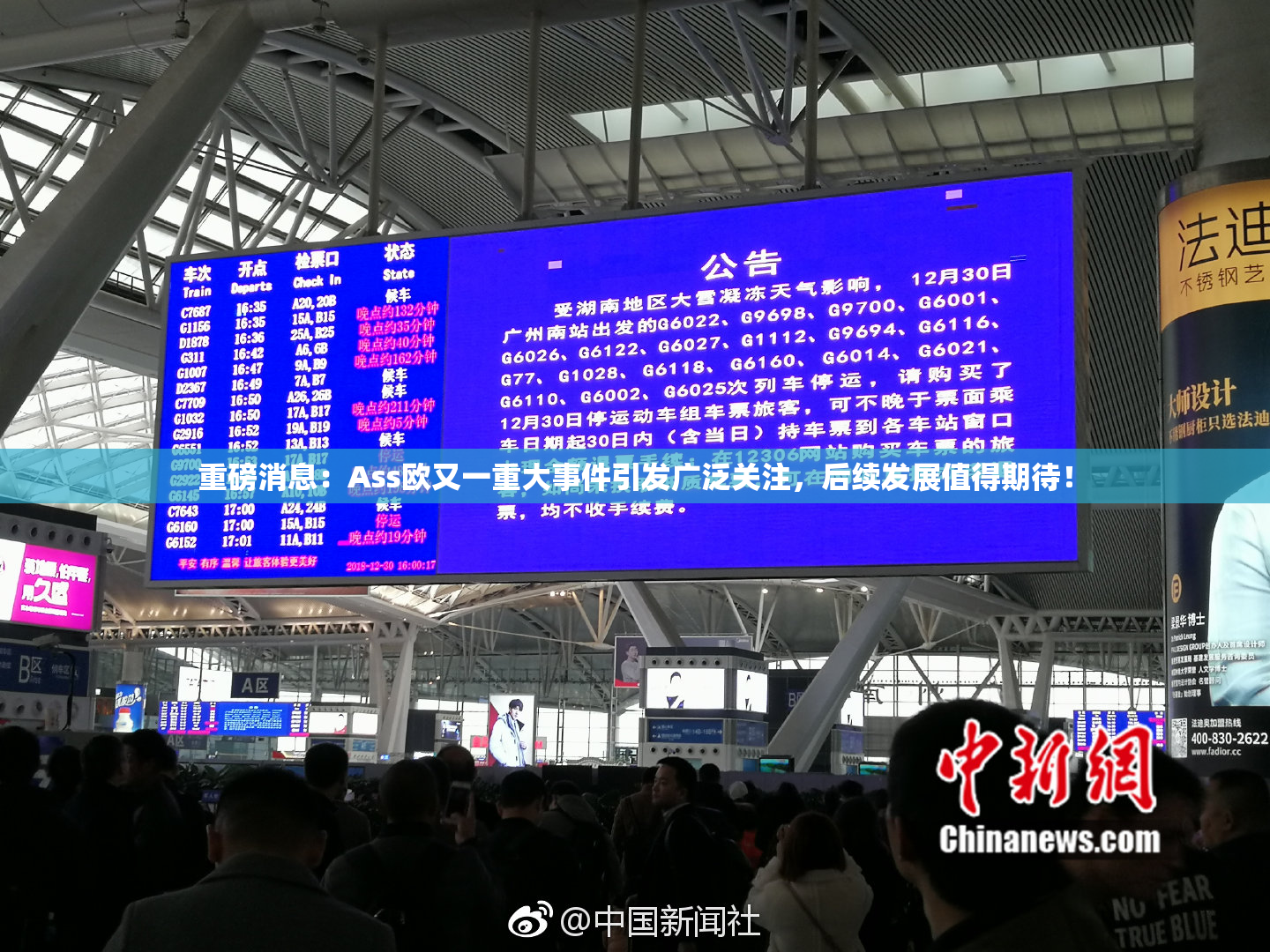重磅消息：Ass欧又一重大事件引发广泛关注，后续发展值得期待！