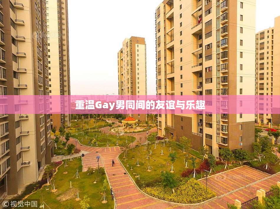 重温Gay男同间的友谊与乐趣