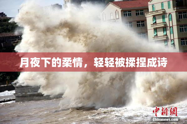 月夜下的柔情，轻轻被揉捏成诗