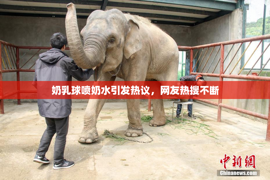 奶乳球喷奶水引发热议，网友热搜不断