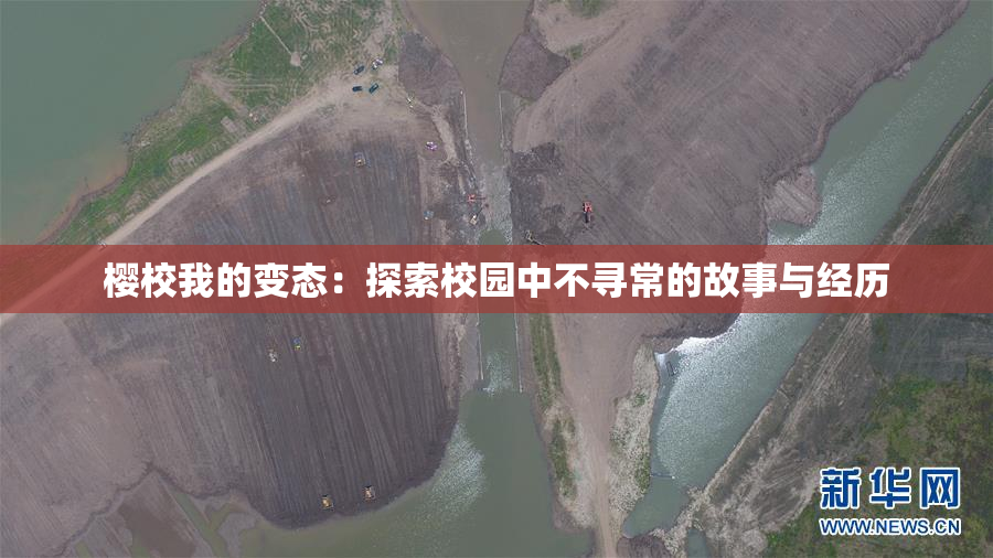 樱校我的变态：探索校园中不寻常的故事与经历