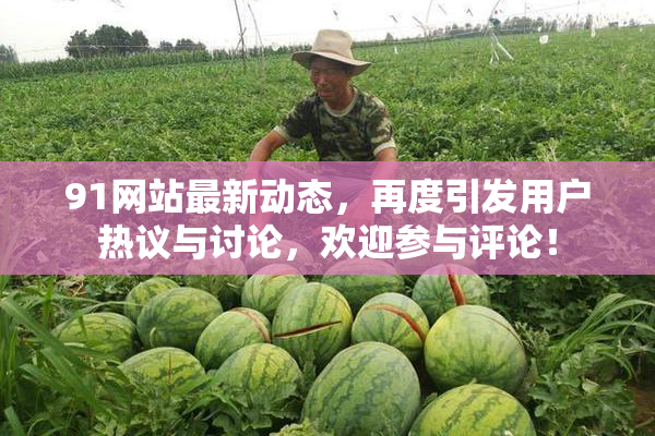 91网站最新动态，再度引发用户热议与讨论，欢迎参与评论！