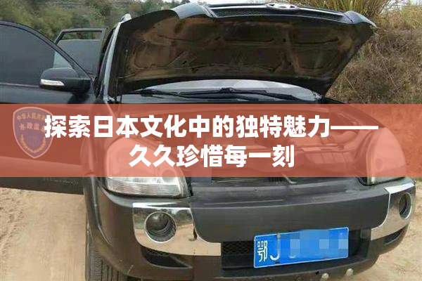 探索日本文化中的独特魅力——久久珍惜每一刻